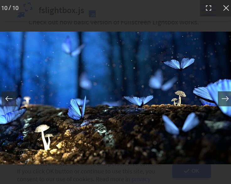 Fullscreen Lightbox Basic